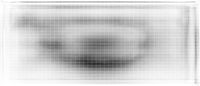 Bloom Active